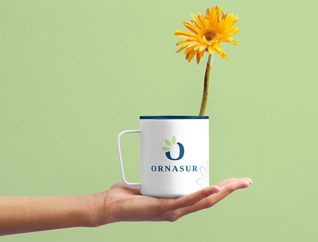 ornasur taza