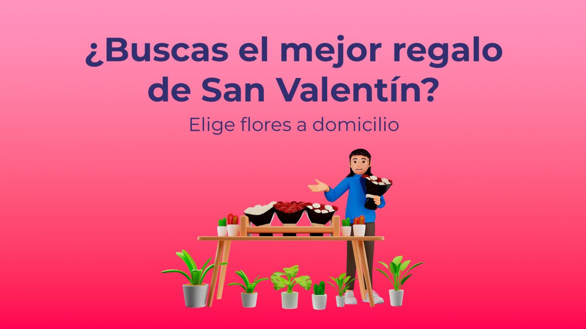 Coco Ranking Febrero 2024: Comprar Flores a domicilio en Las Palmas