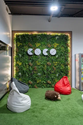 Zona de pafs en oficina Coco Solution