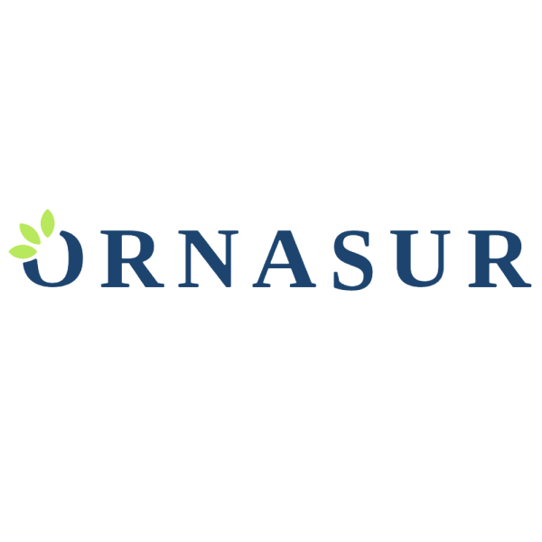 Ornasur: tradition and evolution
