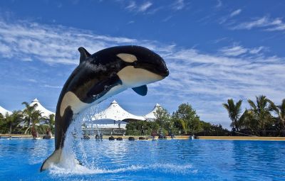 Loro Parque