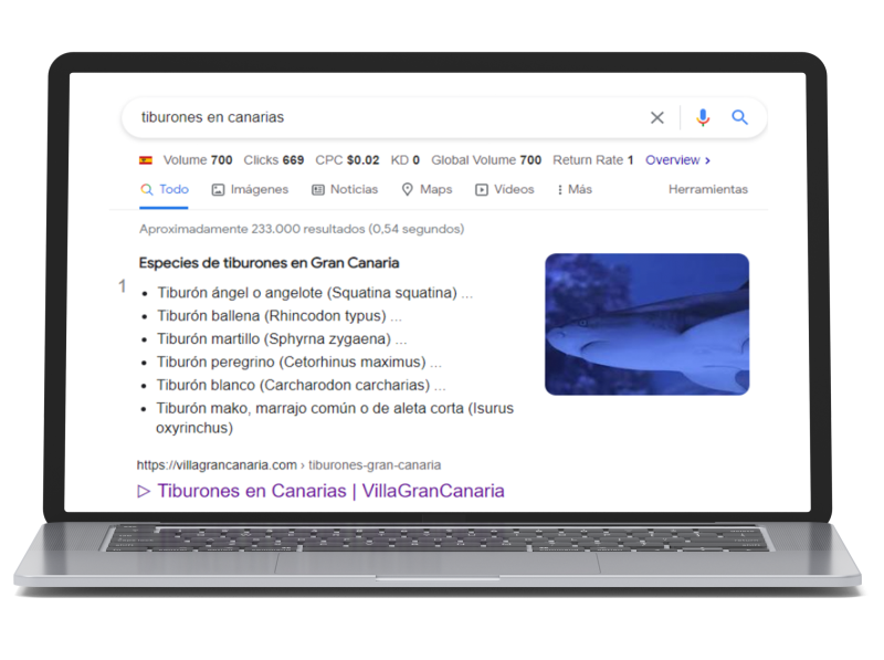 rich snippets tiburones en canarias