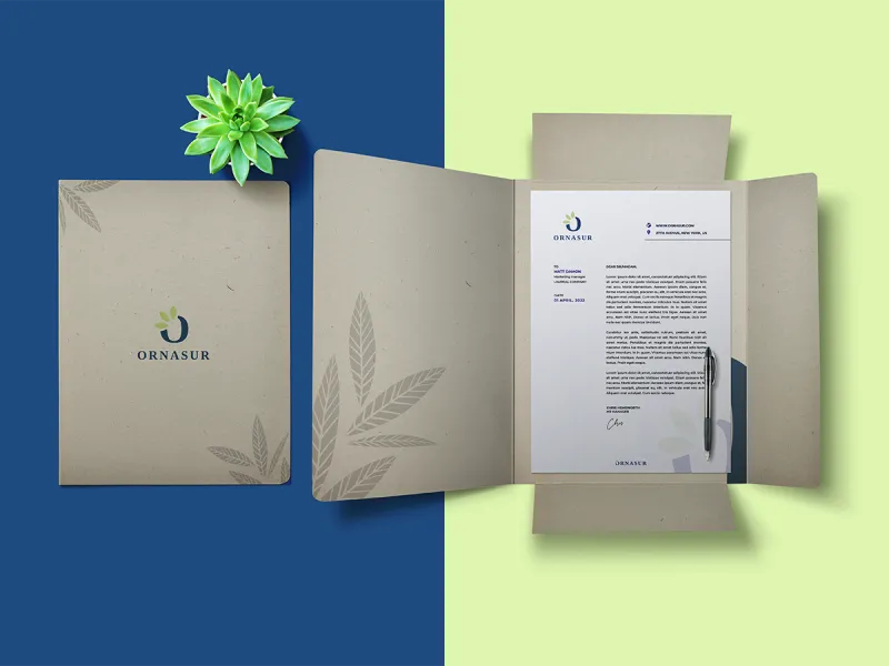 desarrollo branding