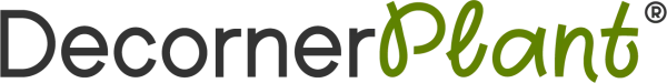 DecornerPlant: Una identidad que florece en el mercado