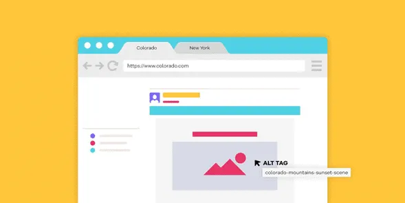 What is an ALT Attribute in SEO 【 GUIDE 】- Coco Solution 🥥