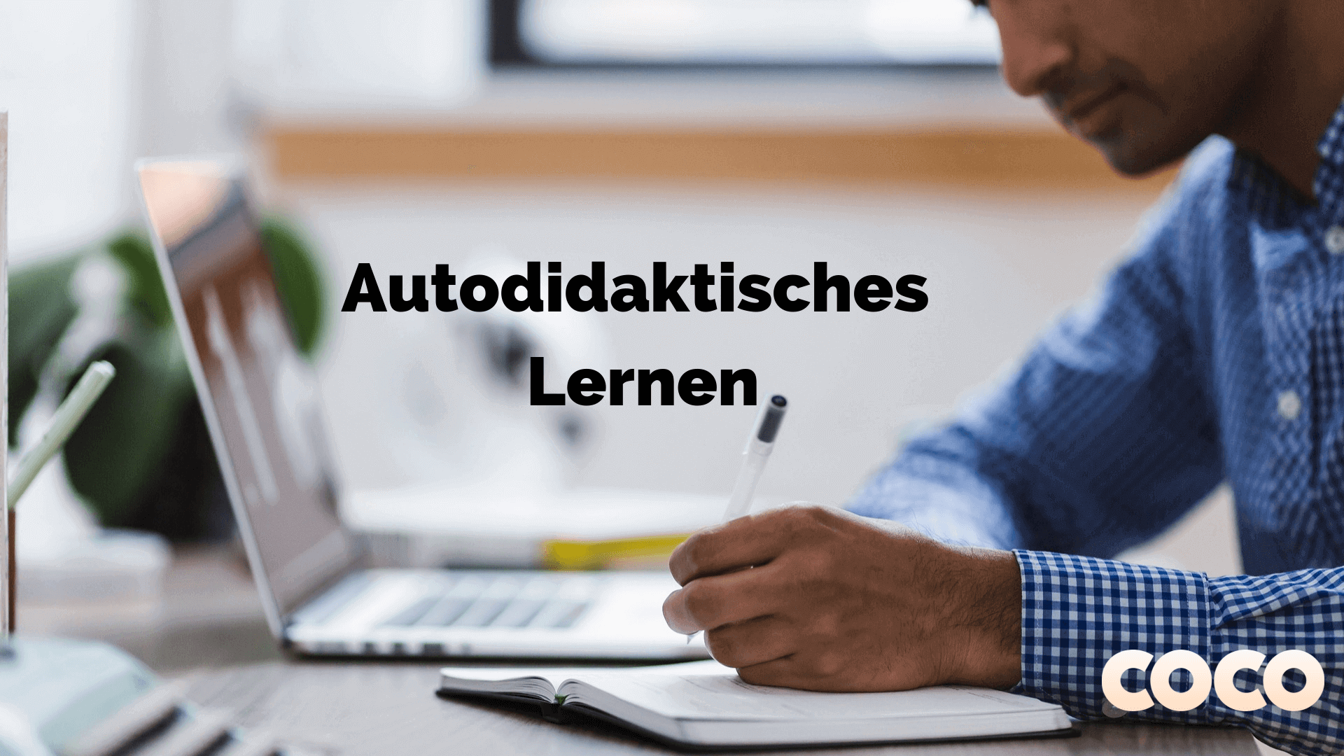 autodidaktisches lernen